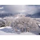Alpine: 1st snowfall Winter 2004