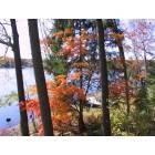 Ringwood: Erskine Lake 2006, Fall Colors
