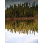 Foresthill: : Perfect Reflection at Sugar Pine Resevoir