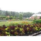 Asheville: : The gardens at the Biltmore Estate