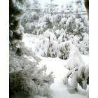 Boulder: First Snow of 2006