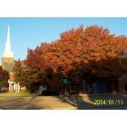 Lubbock: : Beautiful Fall picture in Lubbock, TX