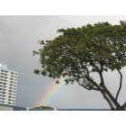 Honolulu: : 2005-05-18, 2 (Rainbow shot right above Safeway grocery store at Young Street)