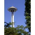 Seattle: : Space Needle - Beautiful and 83 deg. !