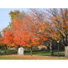 Hartford: : The fall colors at Bushnell Park, Hartford, CT.