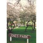 Jones Park in Canton's uptown