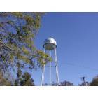 The water tower in Ames,TX (picture 2)