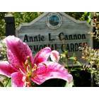 Blowing Rock: Annie L. Cannon Memorial Garden in Broyhill Park