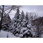 Wellsboro: When is snows in Wellsboro, Pa