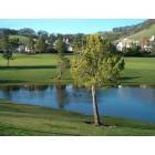 Fairfield: Fairfield CA Ducks at Rancho Solano golf course