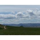 Caldwell: : View from St. Chapelle Winery