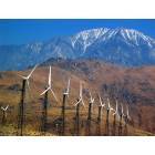Palm Springs: : Surrounding wind generators