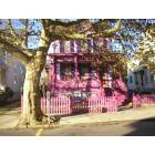 Cape May: : Bright Pink House in Cape May