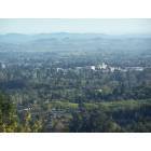 Santa Rosa: : View overlooking Santa Rosa from Fountain Grove Pkwy area