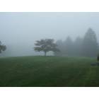 Fayetteville: Foggy Morning on Penn National Golf Course