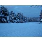Lewiston: : snowmobile trails near Lewiston, MI