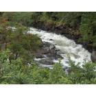 Hilo: : A river just outside of Hilo