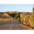 Morgan Hill: : Morgan Hill, CA hills in summer