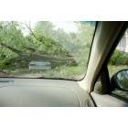De Soto: Tornado in May, 2003: Tree on car with bumper sticker reading 