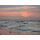 Sunset Beach: : Early Sunrise
