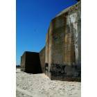 Cape May: World War II Bunker (surrounded by dragonflies) at Cape May Point Beach