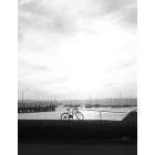 San Diego: : Bike at a Marina in San Diego