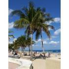 Fort Lauderdale: : The Beach Along The A1A