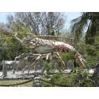 Islamorada: Treasure Village's Betsey the Giant Lobster