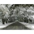 Aiken: South Boundary Avenue in the snow