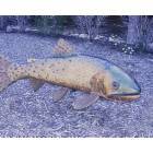 Golden: : Fish Sculpture in Golden, Colorado