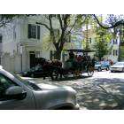 Charleston: : Horse Drawn tour