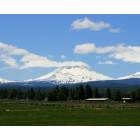 Sisters: South Sister overlooks llama ranch, recent rumblings have volcanologists wondering if a St Helens type eruption might be in the near future....