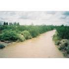 Deming: : Mimbres river in flood, 2006