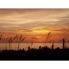 St. Pete Beach: : Dancing At Sunset