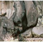 Eagar: : Petroglyphs along the Little Colorado River in Eagar