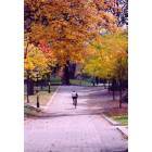 Princeton: Fall at Princeton University