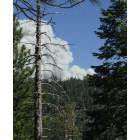 South Lake Tahoe: : Smoke from the 06/23 Wild Fire that destroyed 250 homes