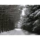 Portage: : "Winter Wonderland" Portage, WI