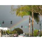 Carpinteria: : rainbow over linden