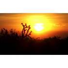 Yucca Valley: : Sunrise in Yucca Valley