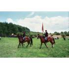 Groton: Horses at the Civil War reenactment at the Hillbrook Orchard.