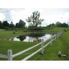 Sennett: local sennett homeowners pond