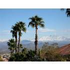 Palm and Four Peaks snow from El Lago in Fountain Hills, AZ