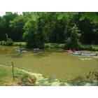 Morris: : Kayaking on the I & M Canal
