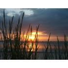 Ocean Isle Beach: Evening Seagrass Tubbs Inlet - OIB