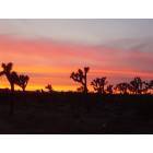 Yucca Valley: : Yucca Valley at Sunset