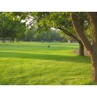Fort Wayne: : Fairway at Foster Park with a giant schnauzer obseving