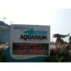 Myrtle Beach: : Ripleys Aquarium