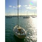 San Diego: : Sail Boat San Diego Bay