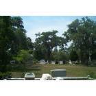 Savannah: : bonaventure cemetery